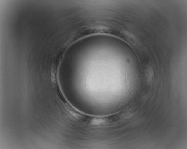 X0000073510177200607311328