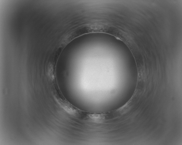 X0000073510187200607311328