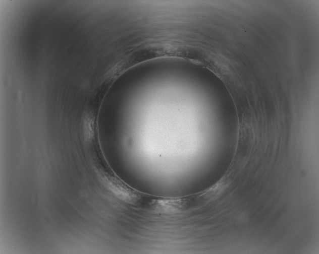 X0000073510188200607311328