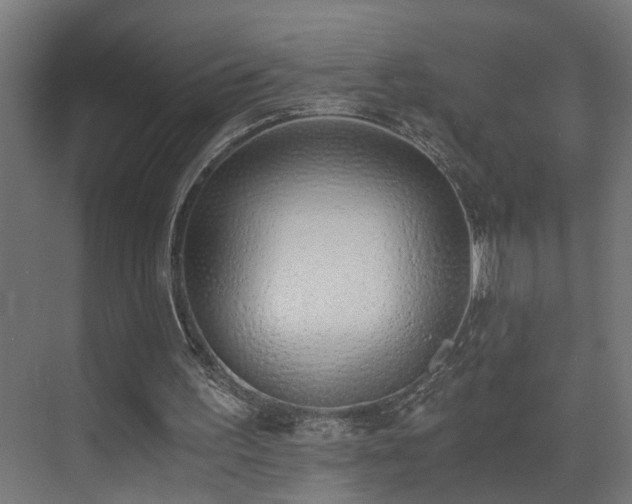 X0000073510195200607311327