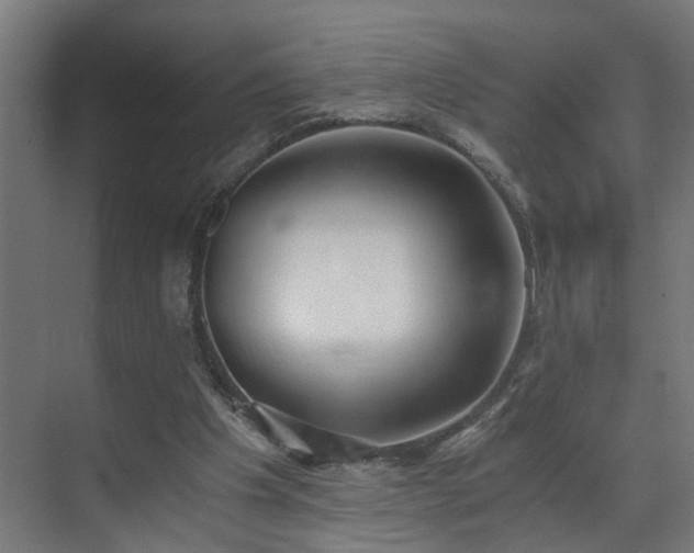 X0000073510201200607311327