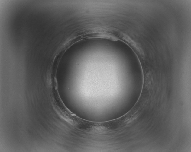 X0000073510203200607311327
