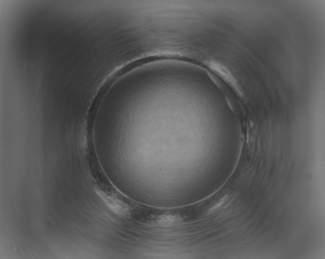 X0000073510204200607311327