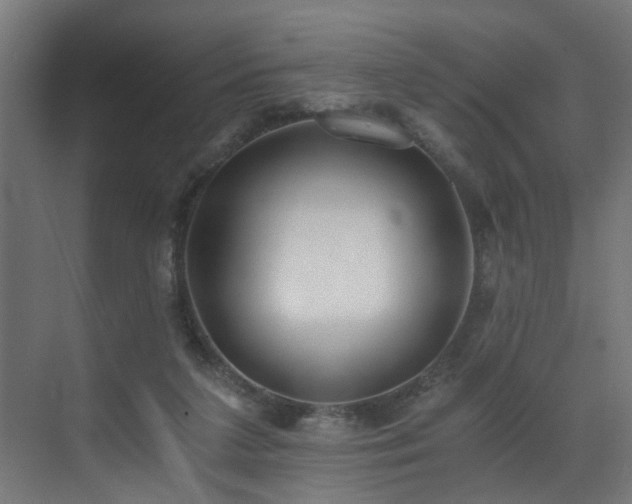X0000073510211200607311327