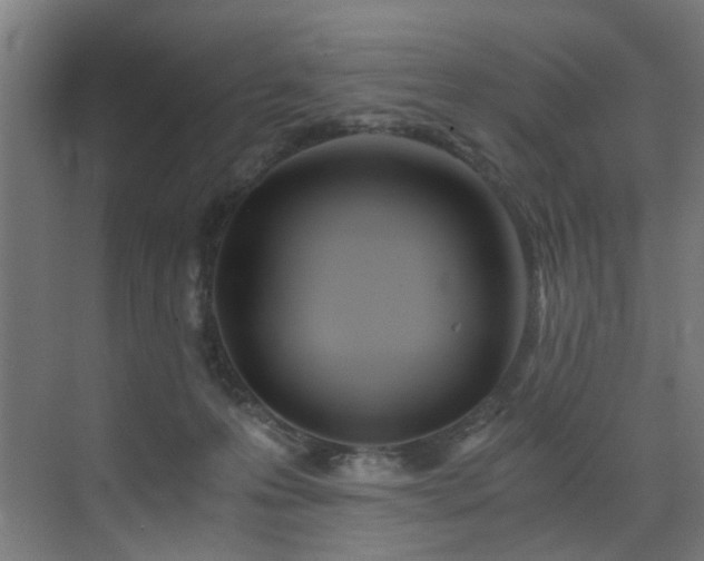 X0000073510223200607311327