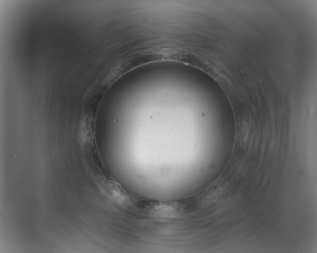 X0000073510236200607311327