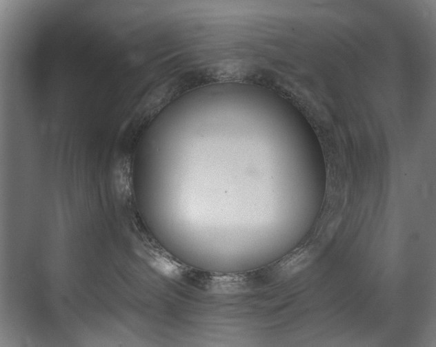 X0000073510240200607311327
