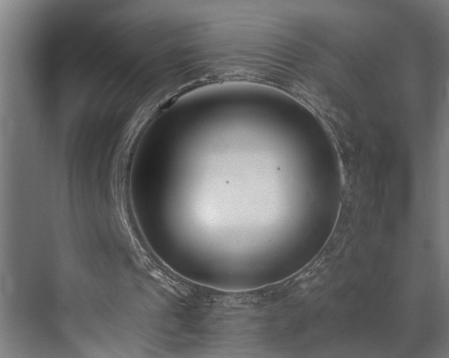 X0000073510241200607311326