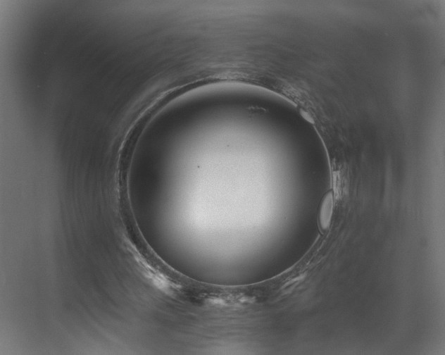 X0000073510243200607311326