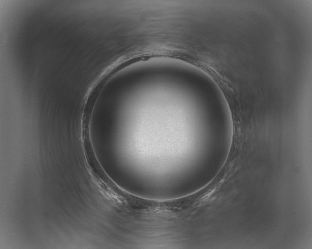 X0000073510244200607311326