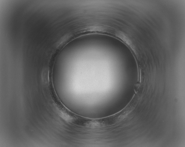 X0000073510253200607311326