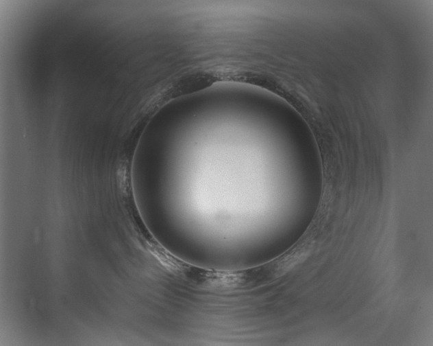 X0000073510288200607311326