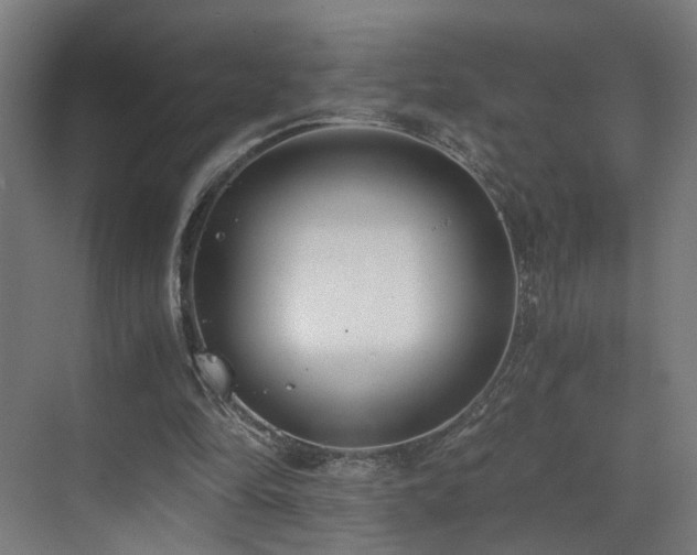 X0000073510294200607311326