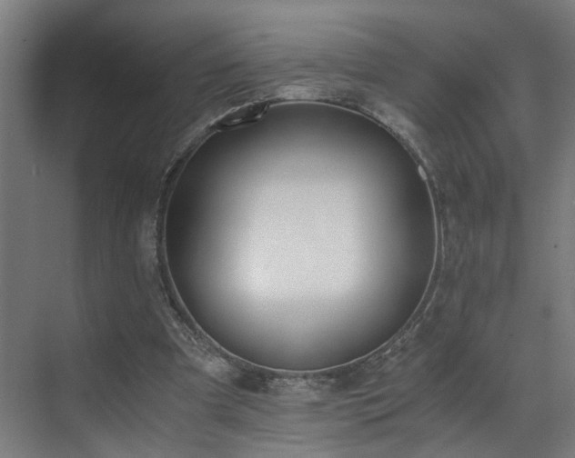 X0000073510297200607311326
