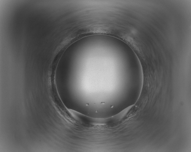 X0000073510299200607311326
