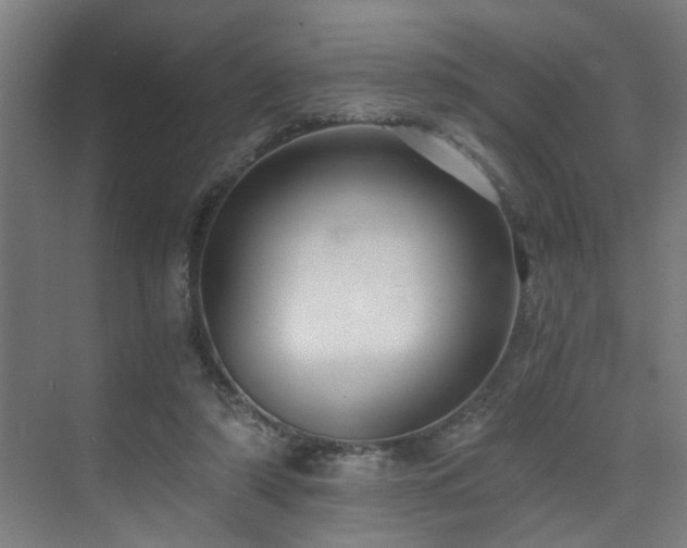 X0000073510306200607311325
