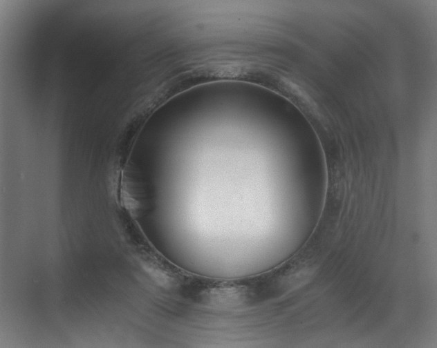X0000073510307200607311325