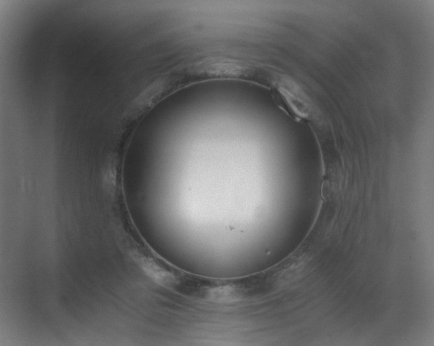 X0000073510309200607311325