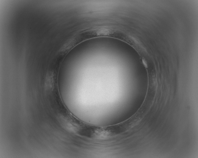X0000073510311200607311325
