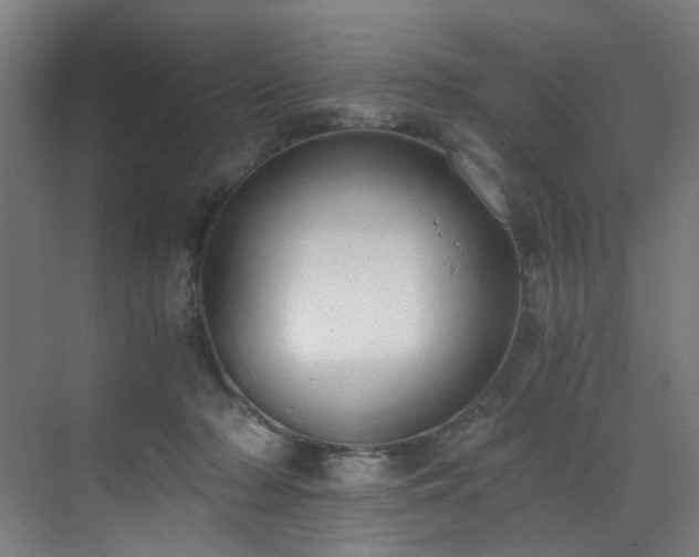 X0000073510318200607311325
