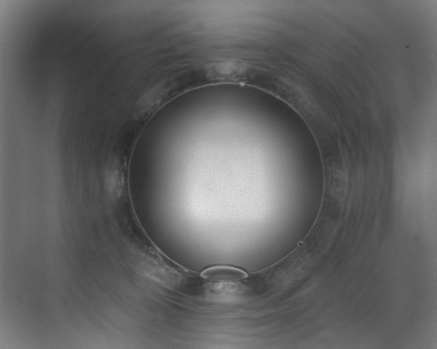 X0000073510324200607311325