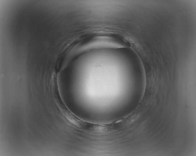 X0000073510325200607311325