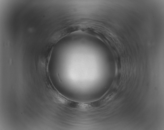 X0000073510333200607311325