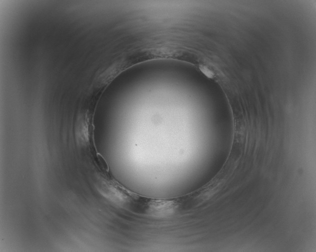 X0000073510334200607311325