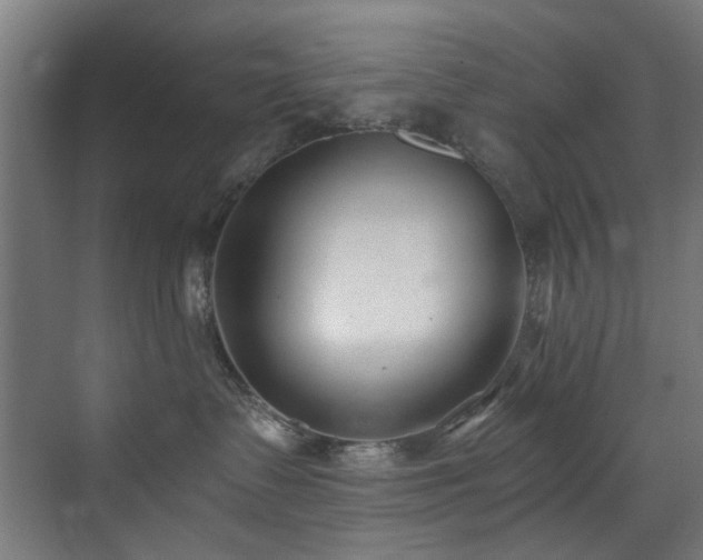 X0000073510335200607311325