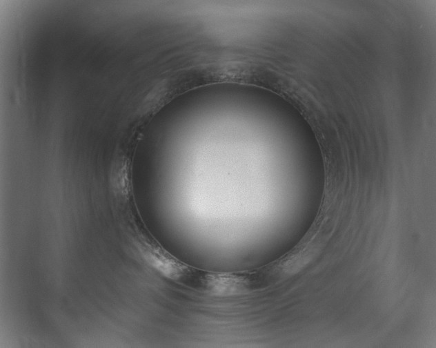 X0000073510336200607311325