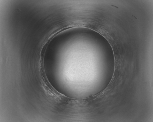 X0000073510338200607311324