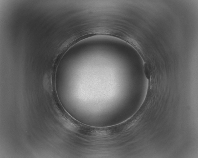 X0000073510349200607311324