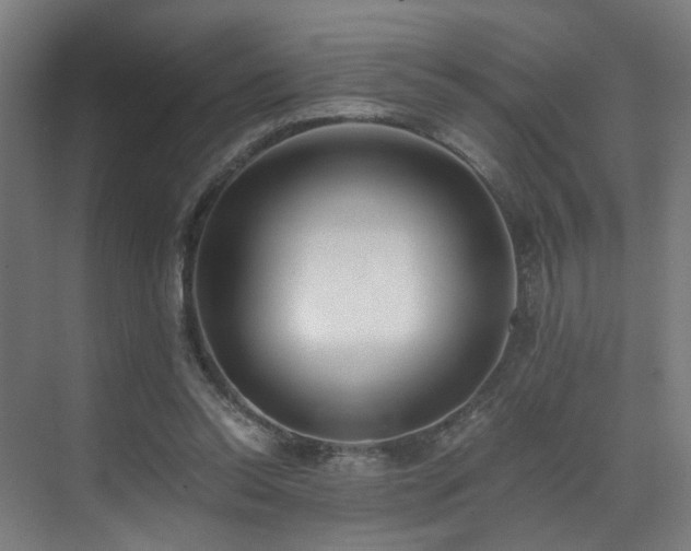 X0000073510350200607311324
