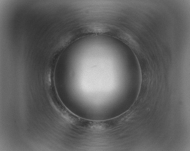 X0000073510358200607311324