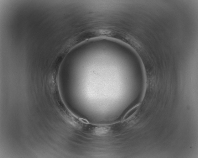 X0000073510373200607311325