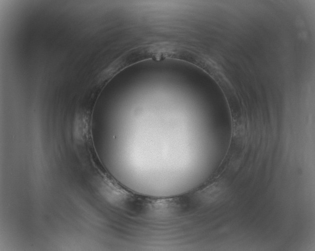 X0000073510382200607311325