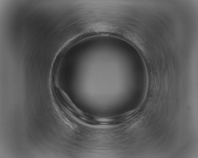 X0000073510391200607311324