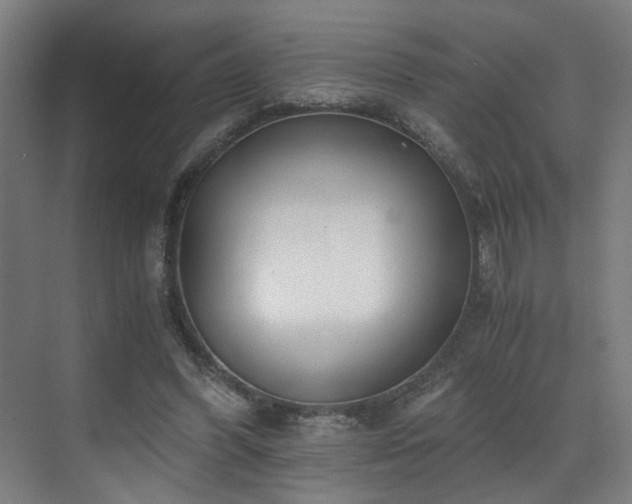 X0000073510396200607311324