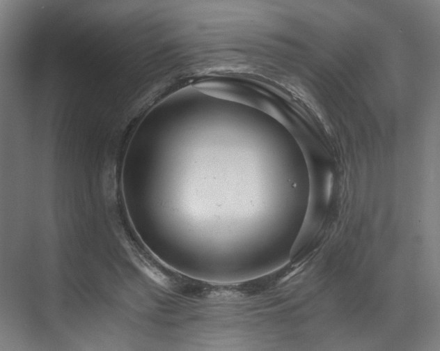 X0000073510397200607311324