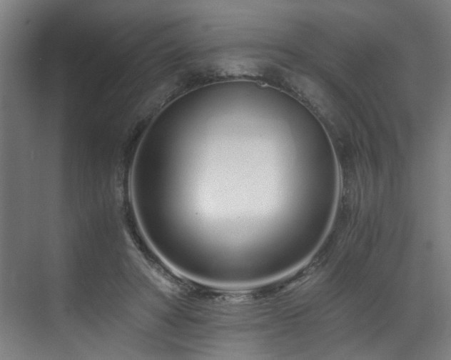 X0000073510402200607311324