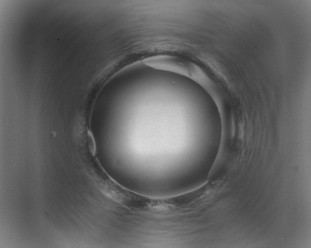 X0000073510407200607311324