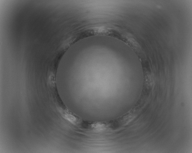 X0000073510419200607311323