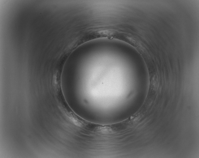 X0000073510424200607311323
