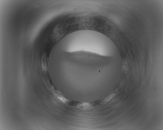 X0000073510431200607311323