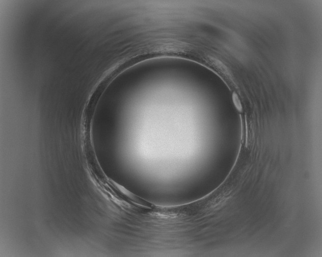 X0000073510435200607311322