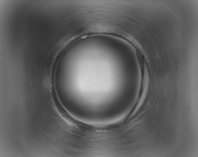 X0000073510438200607311322