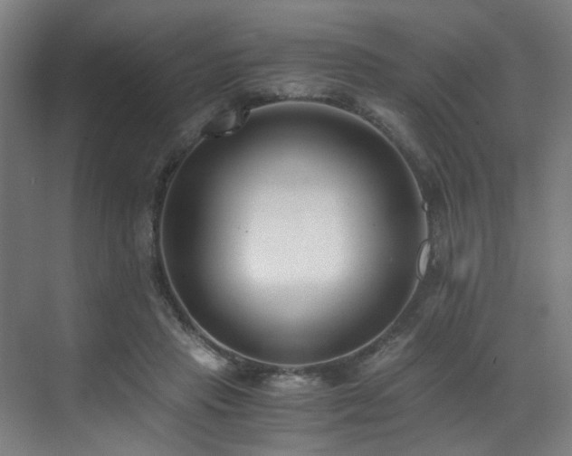 X0000073510453200607311323
