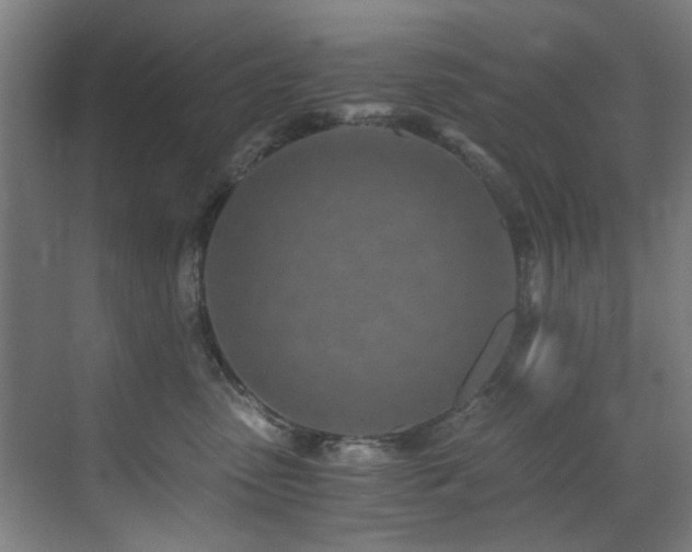 X0000073510475200607311323