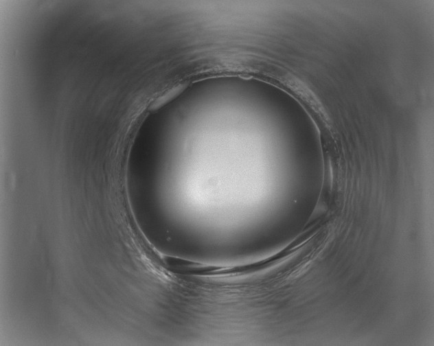 X0000073510481200607311322