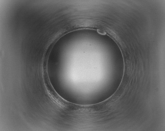 X0000073510482200607311322